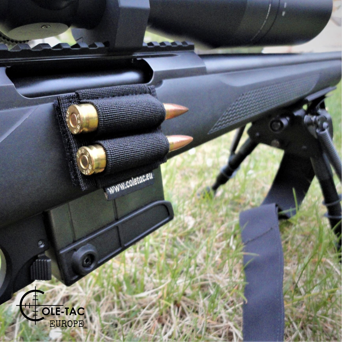 Cartridge holder